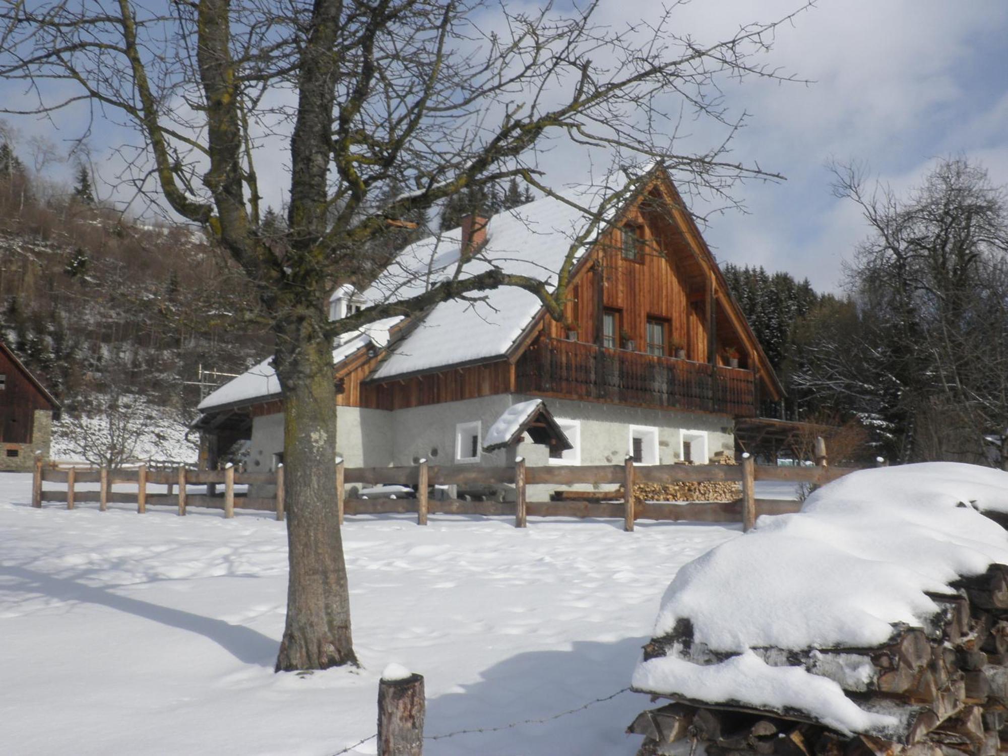 Ferienhaus "Zur Alten Schmiede" Mariahof Buitenkant foto